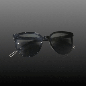 Home chanel big shades